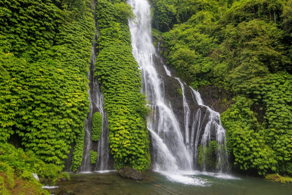 Best Time to Travel to Bali