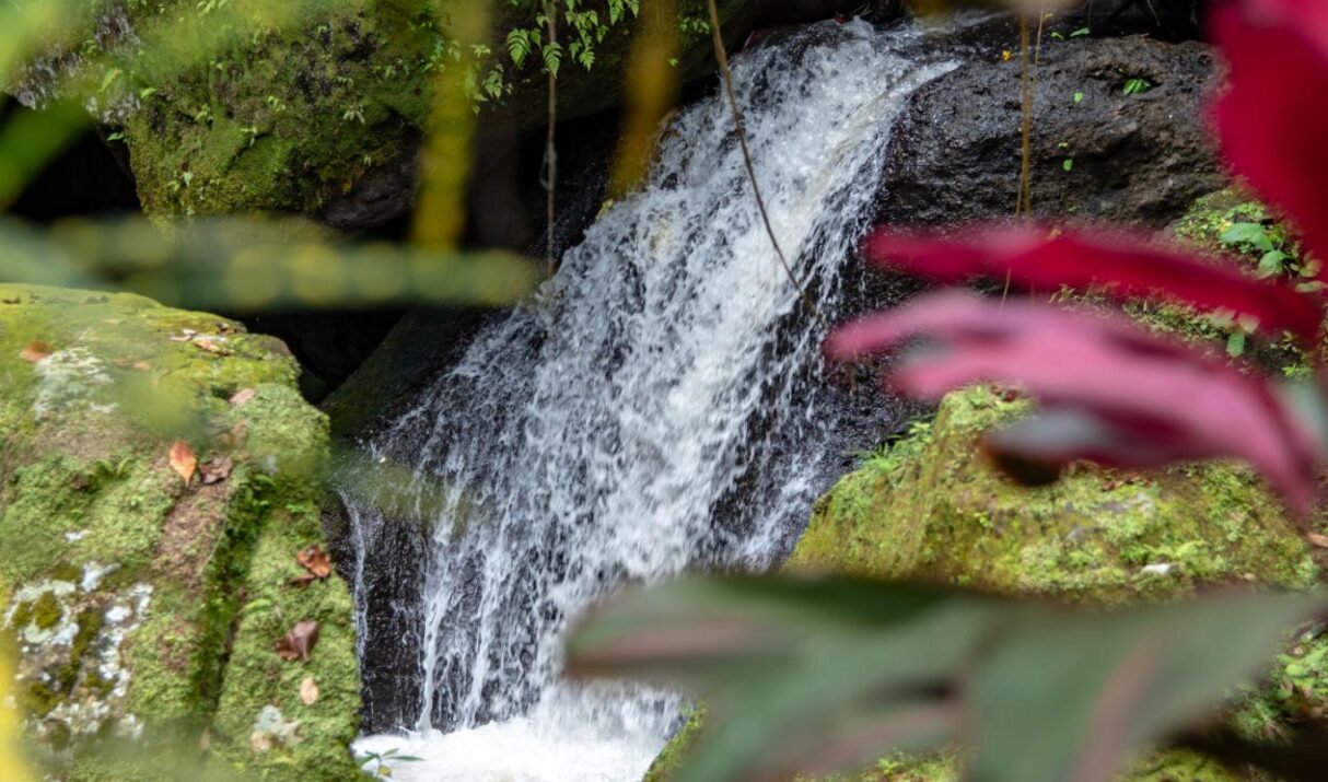 Best Time to Travel to Bali (2026 Guide): Weather, Prices & Crowds Explained